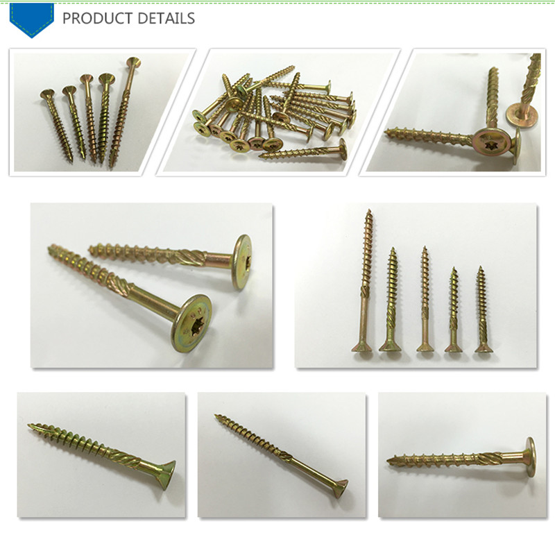 China Manufacturer Ss Interference Screw