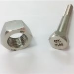 china screw and nut ss310s